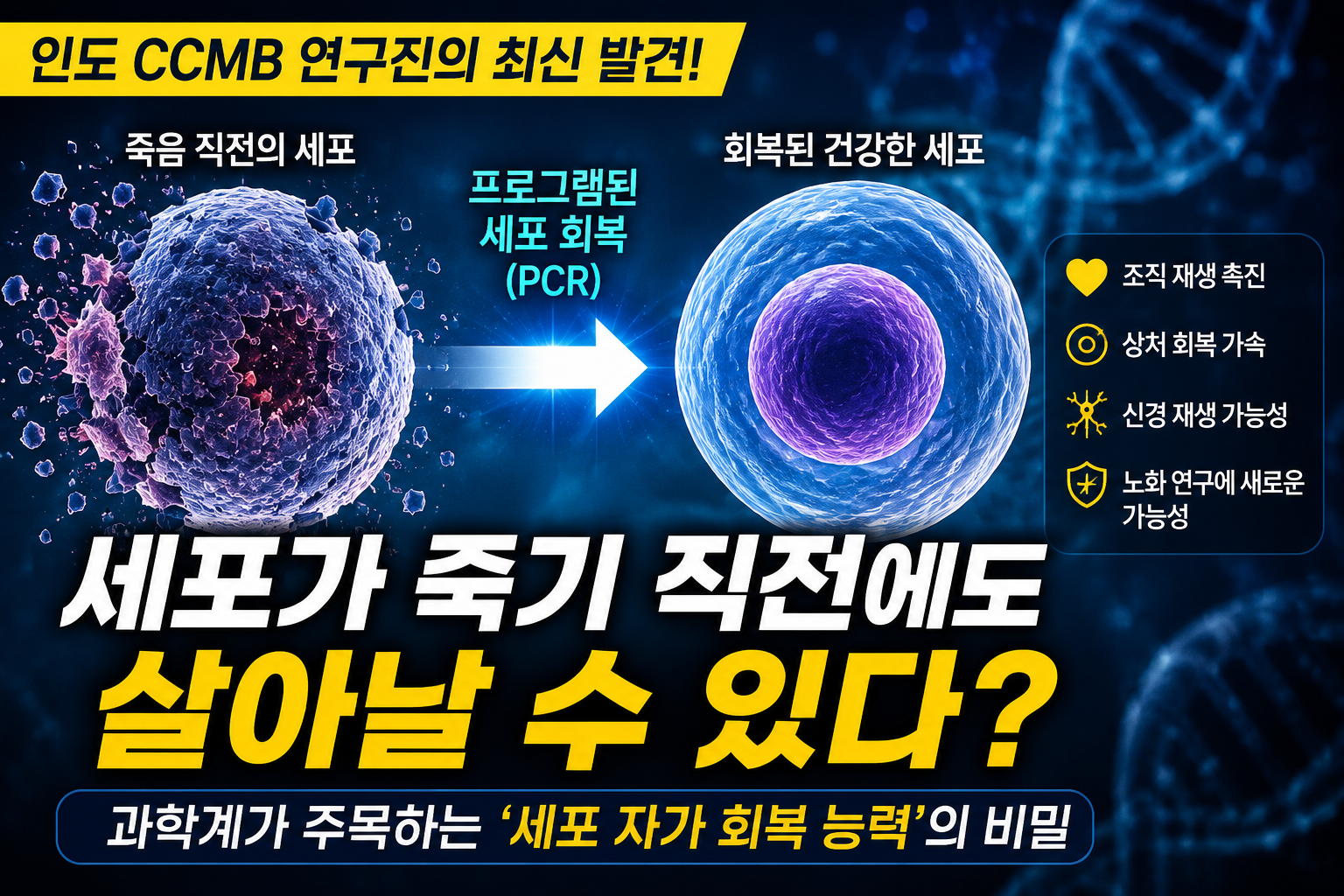 “죽으면 끝이 아닌가?” 죽어가던 세포가 되살아났다? 충격적인 최신 연구